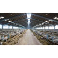 China High-end Automatic Steel Structure Galvanized Pig Farm Shed